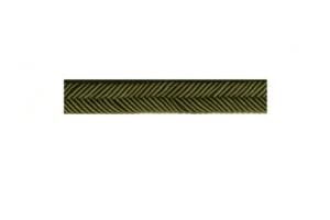 Double passepoil chevron 9mm au mètre col 53 VERT 517