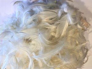 60/20/20 mélange plumes mousse flotex min 20kg prix au kg T60/20/2020KG