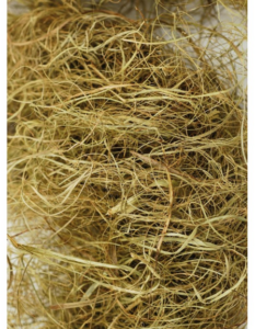Crin végétal bale 25kg cardé qualité supérieure PDICRIN25