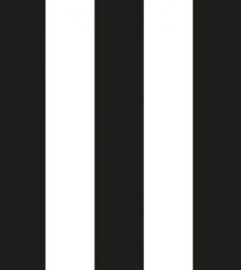 Velours Soft rayé noir et blanc laize 150cm 60000 tours martindale